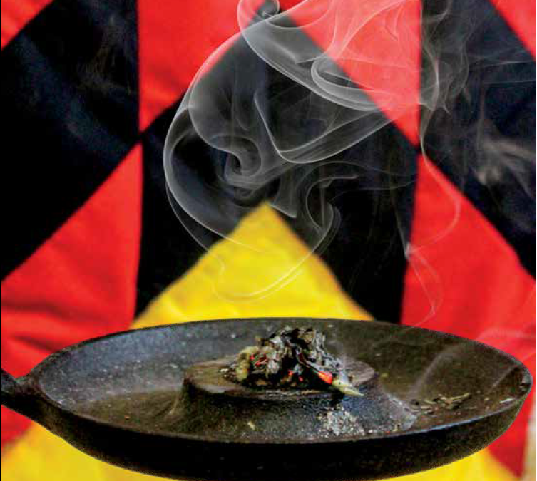 Annual Report 2024-2025